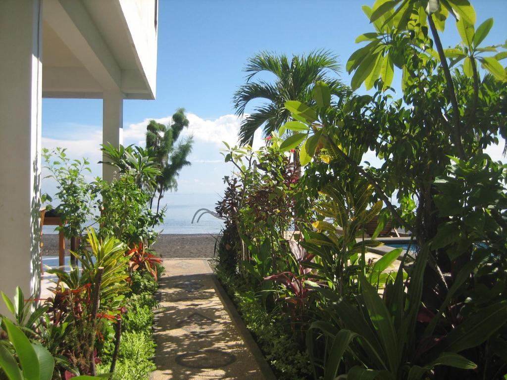 Lucky Paradise Bungalows On The Beach アメッド エクステリア 写真